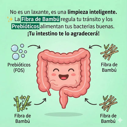 LIV - Fibra, Probióticos, digestión y Control de Peso